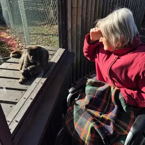 Companion Care: One-to-One Support With Heart, photo 4 of 17